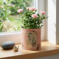 Blomsterpotte dekorativ dåse laksefarvet metalplanter Ø15,5 cm H15 cm | Floristik24.dk