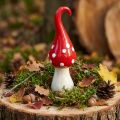 Deco Fluesvamp Keramik Deco Champignon Rød Hvid Ø6,5cm H21cm | Floristik24.dk