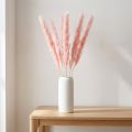 Pampas græs dekoration, pampas græs tørret pampas græs pink 72cm 6 stk. | Floristik24.dk