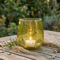 Lanterne glas dekoration vintage gul grøn Ø12cm H12,5cm | Floristik24.dk