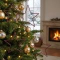 Store dekorative stjerner til ophæng, 24 cm, bærglimmer, juledekoration, sæt med 6 | Floristik24.dk