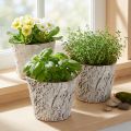 Blomsterpotte med bark-look, ideel til rustik indretning og plantedekoration, 12 cm, 4 stk. | Floristik24.dk