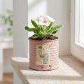 Blomsterpotte dekorativ blik rund antik rose metalplante Ø8cm H7,5cm | Floristik24.dk
