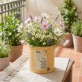 Dekorativ dåse, abrikos, metalplantepotte, sommerdekoration, Ø15,5 cm H15 cm | Floristik24.dk