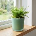 Glasurtepotte grøn plantekasse glasbalje Ø11,5cm H11cm | Floristik24.dk