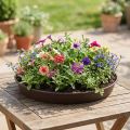 Plantningsring "Rondino" Ø35-55cm, 1 stk | Floristik24.dk
