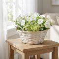 Kurv med hanke, spånkurv, plantekurv, hvid, vintage, dekorativ, Ø35 cm | Floristik24.dk