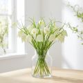 Skaktern blomster Fritillaria kunsthvid, grøn 40cm 12 stk | Floristik24.dk