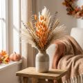 Lagurus Tørret Kaninhalegræs Abrikos Dekorative Tørrede Blomster 55-60cm 50g | Floristik24.dk
