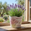 Plantekasse plast lavendel urtepotte Ø13,5cm H12cm | Floristik24.dk
