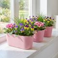 Plantebåd planteskål oval pink 27×11×10cm 3stk | Floristik24.dk