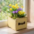Planteskuffe træ dekorativ plantekasse gul 12,5cm | Floristik24.dk