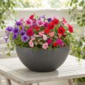 Planteskål plast antracit Ø35cm H16,5cm | Floristik24.dk
