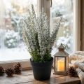 Erika hvid lyngkost lyng kunstplante H26cm | Floristik24.dk