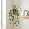 Rhipsalis kunstig koralkaktus hængende kurv H87cm | Floristik24.dk