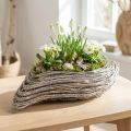 Plantebåd plante bølgerattan naturhvid 45x16cm | Floristik24.dk