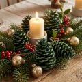 Maritima kogler 10cm - 16cm grøn frostet 12 stk | Floristik24.dk