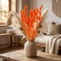 Tørrede blomsterdekorationer af orange harehalegræs 50-60 cm 50 g - Fløjlsagtig Lagurus til borddekoration og hobbyartikler | Floristik24.dk