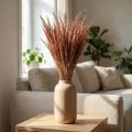 Rødt Bøjet Græs Agrostis Tørt Græs Rød Brun 65cm 80g | Floristik24.dk
