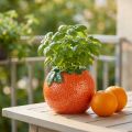 Middelhavs dekorativ orange vase urtepotte keramik Ø9cm | Floristik24.dk