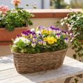 Plantekurv kurv oval ranke naturlig planteskål L30cm | Floristik24.dk