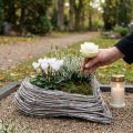 Rattan Hjerte Plante Hjerte Dekoration Rattan Slyngplanter Hvid 20x24cm | Floristik24.dk