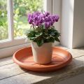 "Linda" underkop Ø18cm terrakotta | Floristik24.dk