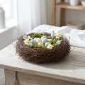 Mühlenbeckia vinstokmateriale ca. 1 kg naturligt | Floristik24.dk