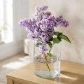 Glasvase klar cylindrisk Ø12cm H20cm | Floristik24.dk