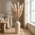 Tør dekoration pampas græs tørret bleget 70-75cm 6 stk | Floristik24.dk