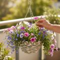 Plantekurv til ophæng, blomsterkurv flettet hvid, grå, natur H16cm Ø30cm | Floristik24.dk