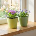Papirpotte, mini plantepotte, cachepot blå/grøn Ø9cm H7,5cm 4stk | Floristik24.dk