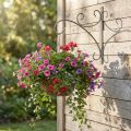 Vægkrog, metal planteholder, hængende kurvholder H30cm D28,5cm | Floristik24.dk