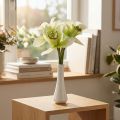 Kunstige orkideer kunstige blomster i vase hvid/grøn 28cm | Floristik24.dk