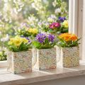 Gavepose plantepose gavepose mønstret 12cm 8 stk | Floristik24.dk