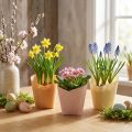 Plantekar papir vævet vanilje, orange, pink Ø7cm H13cm 12 stk | Floristik24.dk