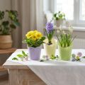 Plantekrukke vævet plantepapir grøn, gul, lilla Ø7cm H13cm 12stk | Floristik24.dk