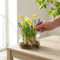 Glasskål dekorativ skål glas flydende skål Ø16cm H8cm | Floristik24.dk