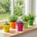 Plantekasse til potteplanter, farverigt assorteret. Ø10,5cm 10 stk | Floristik24.dk