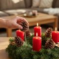 Maritima kogler, naturlige, 5-10 cm på en pind, 50 stk. | Floristik24.dk