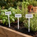 Plantetiket til udskiftning 32cm 10stk | Floristik24.dk