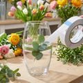 Oasis® Double Fix Tape 25mm x 25m | Floristik24.dk