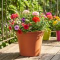 Potte “Irys” plast terracotta Ø33cm H27,5cm 1 stk | Floristik24.dk
