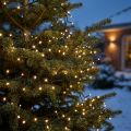 LED ris lyskæde 350 grøn, varm hvid til udendørs 7,5m | Floristik24.dk
