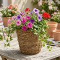 Vinplantekurv Ø25cm H22,5cm naturlig plantekasse | Floristik24.dk