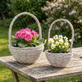 Plantekurv 2-delt sæt, halm, natur, hvid, Ø23/28, shabby chic | Floristik24.dk