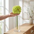 Allium grøn blomst kunstigt prydløg Ø18cm 90cm | Floristik24.dk