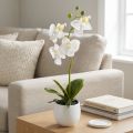Hvide kunstige orkidéblomster