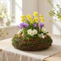 Rund planteskål med mos og grene, Ø20 cm | Floristik24.dk