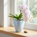 Orkidépotte skinnende Ø12,5cm hvid 1 stk | Floristik24.dk